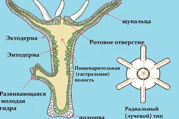 Кракен ссылка онлайн