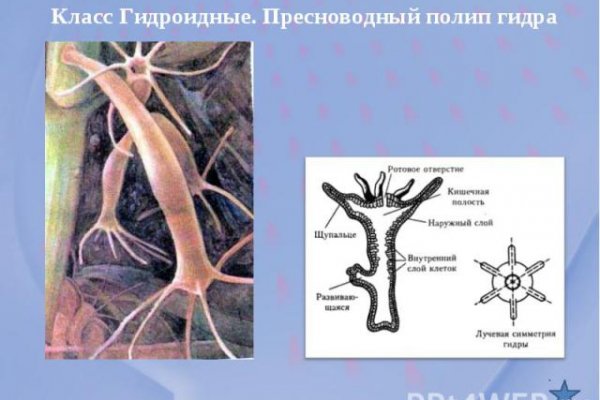 Кракен ссылка тор браузер