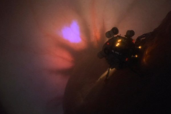 Кракен krakens13 at