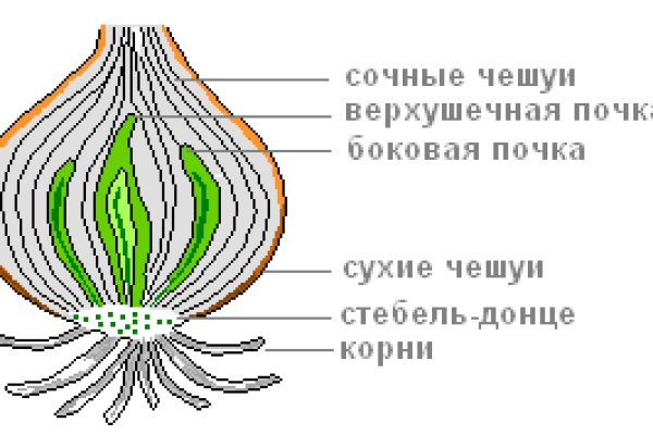 Кракен даркнет аккаунт