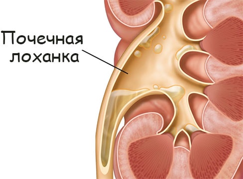 Кракен маркетплейс в тг